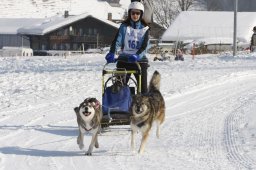Lenk 2012 SM